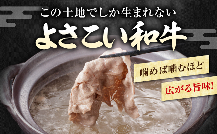 【9回定期便】高知県産 よさこい和牛 上赤身 しゃぶしゃぶ用 約500g×2 総計約9kg 牛肉 すきやき 国産 肉 A4 A5 薄切り スライス 【(有)山重食肉】 [ATAP125]