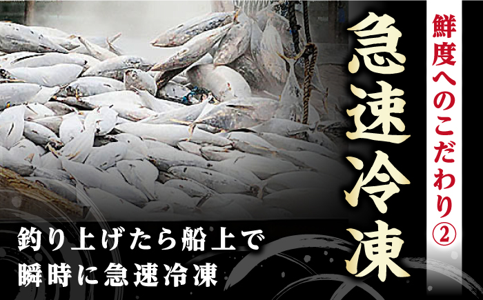 【12回定期便】土佐料理司本店 鰹たたき2節セット（4〜5名分） / かつお 鰹 カツオ かつおのたたき 高知市【株式会社土佐料理司】 [ATAD055]