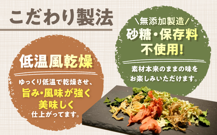 乾燥野菜ミックス 果物ミックス1DAYお試しセット /ブドウ糖・保存料不使用の無添加 防災 ドライフルーツ いちご みかん 柿 ドライベジタブル 高知ブランド きのこ 【グレイジア株式会社】 [ATAC600]