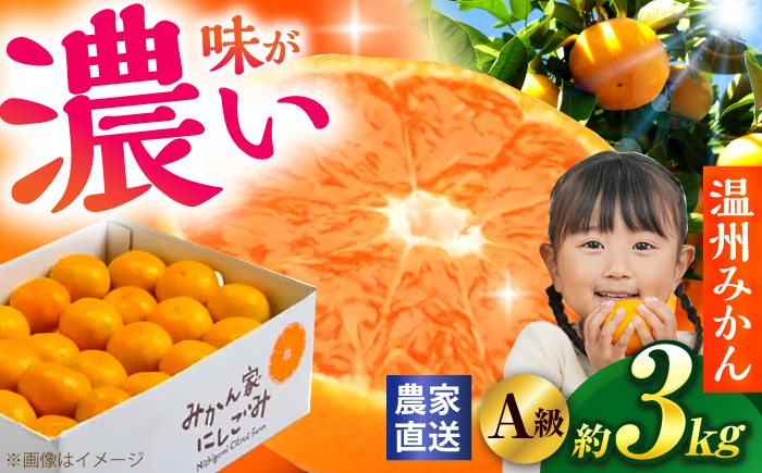 ＜サイズおまかせ＞高知県産温州みかんA級品 約3kg / みかん 柑橘 オレンジ 高知県 温州 【株式会社にしごみ】 [ATEA010]