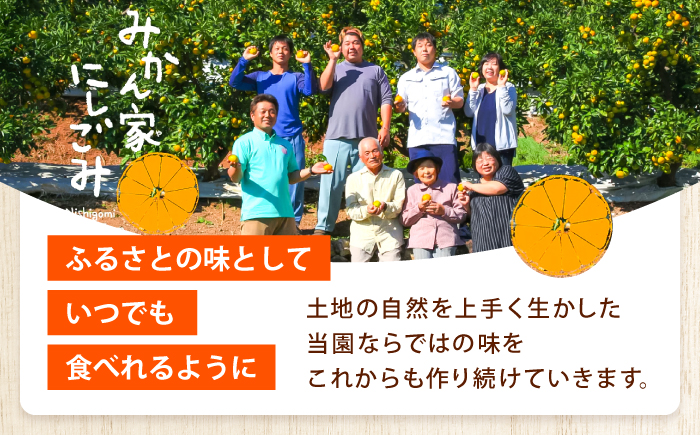 【先行予約】＜サイズおまかせ＞高知県産温州みかんA級品 約5kg ＜2026年11月上旬～2026年12月下旬頃発送＞/ みかん 柑橘 オレンジ 高知県 温州 【株式会社にしごみ】 [ATEA009]