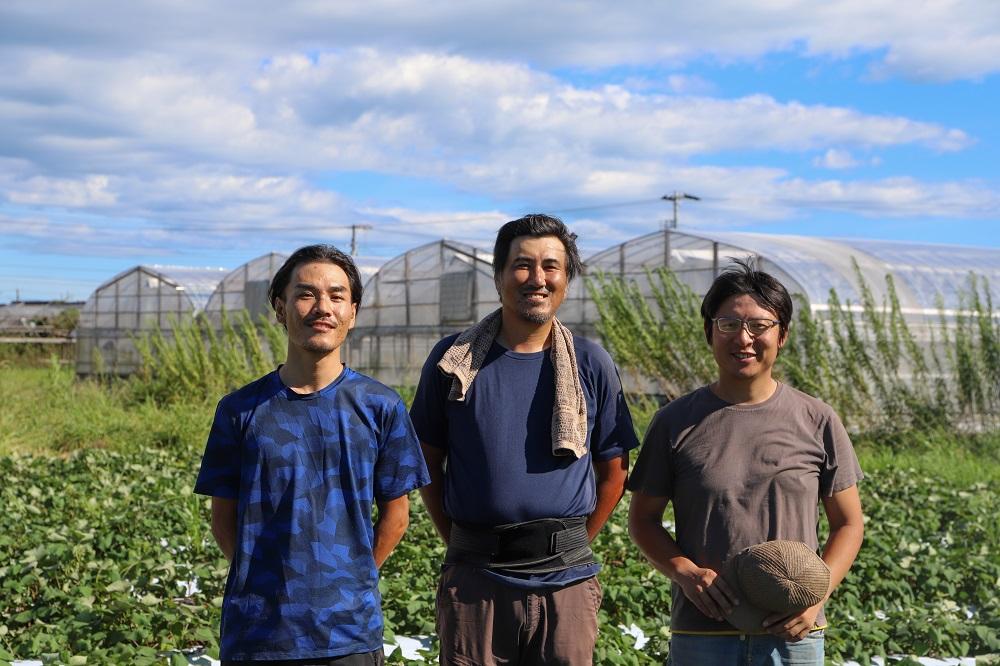 【栽培期間中農薬・化学肥料不使用】土佐の太陽をいっぱいに浴びた旬の野菜生姜約200gのセット「小」