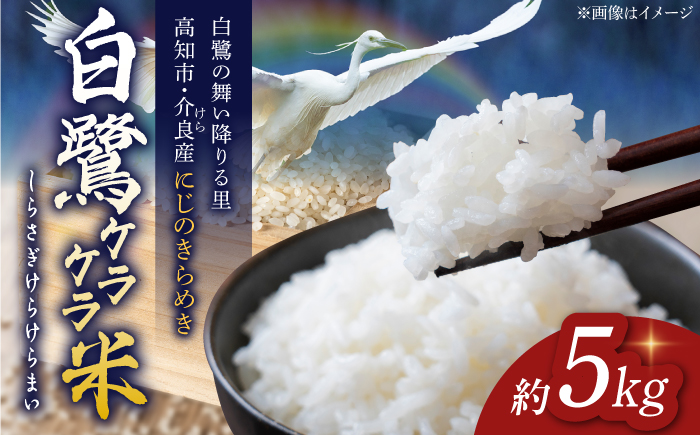 農薬節減！ R8年度産 特別栽培米 白鷺ケラケラ米 にじのきらめき 約5kg 〈2026年9月中旬〜発送〉 / 高知 米 お米 精米 　【津ノ宮農園】[ATBV017]