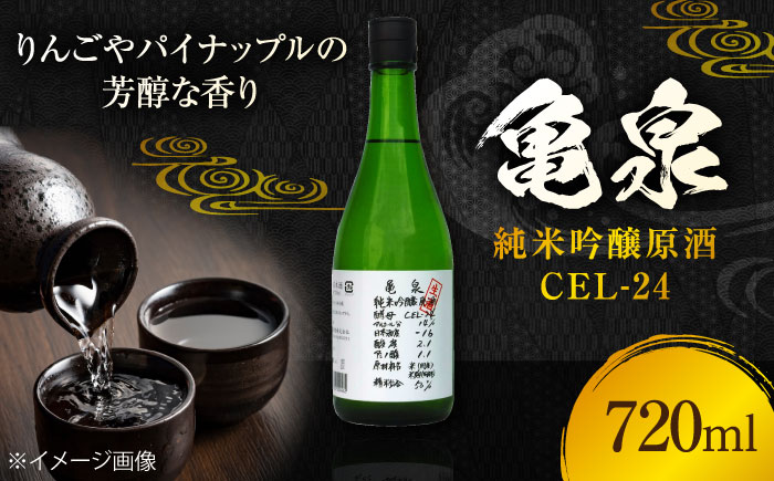 亀泉 純米吟醸原酒CEl-24 720ml 1本 日本酒 地酒 【近藤酒店】 [ATAB150]