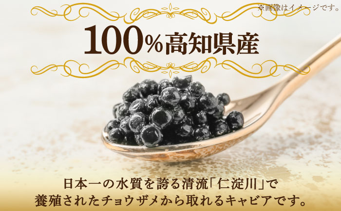 【6回定期便】高知産熟成キャビア約30g (化粧箱) シェルスプーン付Black Jewel 【興洋フリーズ株式会社】 [ATBX101]