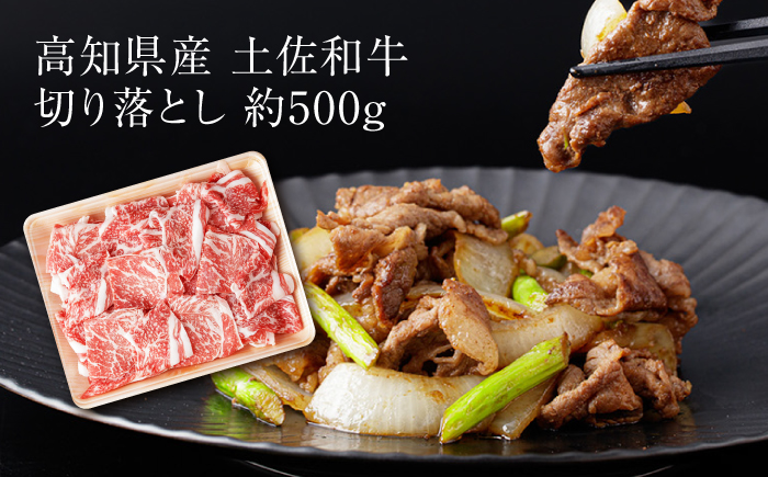 【6回定期便】お肉の定期便 バラエティセット (6ヵ月) 総計約9kg 国産 牛肉 切り落とし 豚肉 バラ スライス 【(有)山重食肉】 [ATAP116]