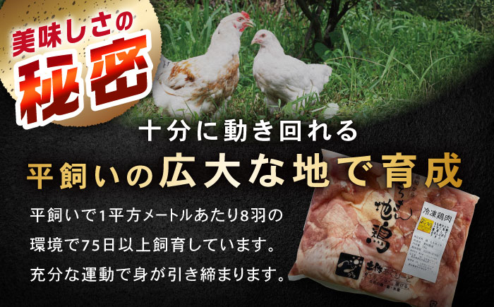 高知の地鶏はちきん地鶏モモ肉カット 約500g×1 【合同会社土佐あぐりーど】 [ATBO020]