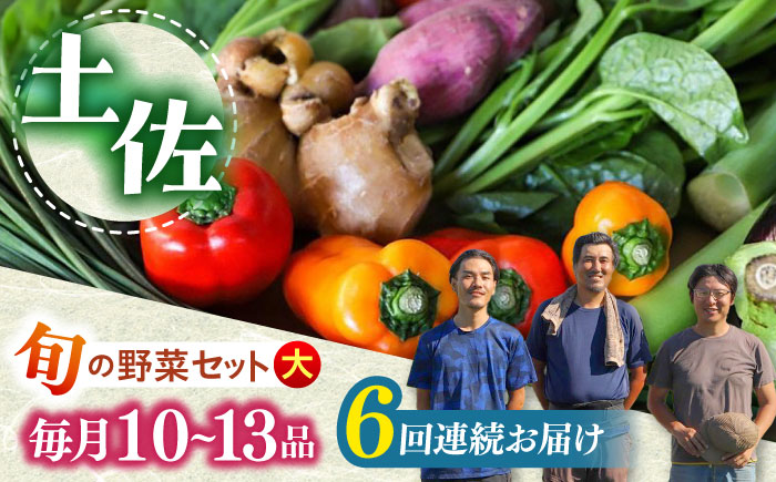 【6回定期便】土佐の太陽をいっぱいに浴びた旬の野菜セット「大」 (6回配送)【土佐野菜】 [ATBA009]