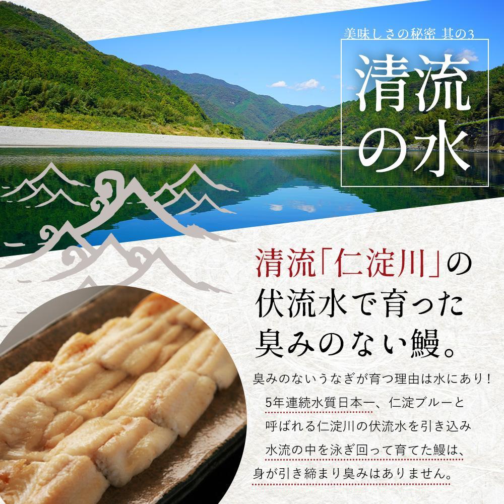 完全無投薬 仁淀川の伏流水で育てた贅沢うなぎ蒲焼き 大（約200ｇ×2尾）ギフトセット 池澤鮮魚