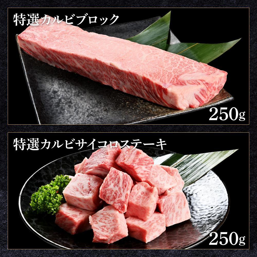 熟成肉　土佐和牛　詰め合わせ6種