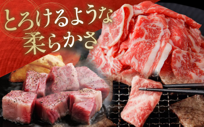 高知から美味しいお肉の玉手箱! 化粧箱入り 総計約840g 牛肉 ステーキ 焼肉 切り落とし 国産 A4 A5 【(有)山重食肉】 [ATAP020]