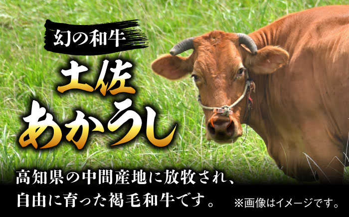 エイジング工法 熟成肉 土佐あかうし 特選カルビ サイコロステーキ 約1kg 冷凍 (約500g×2) 【株式会社LATERAL】 [ATAY023]