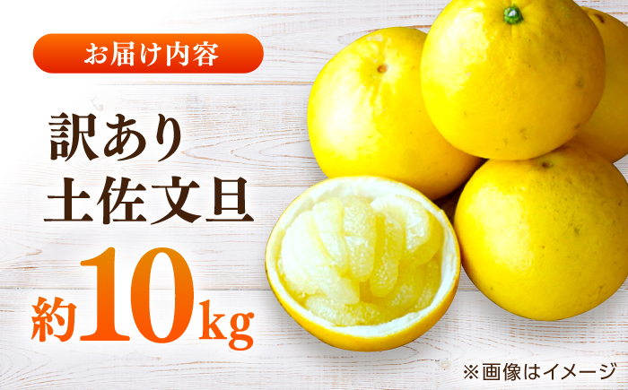 【先行予約】高知県産 訳あり 土佐文旦 約10kg 〈2026年3月〜発送〉 / 傷 シミの訳アリ 大容量 ぶんたん 文旦 訳あり わけあり 果物 【株式会社　四国健商】 [ATAF038]