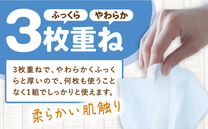 【3回定期便】隔月発送 水に流せる3枚重ねティッシュ ソフトパック100組 (300枚) ×30パック 【河野製紙株式会社】 [ATAJ020]