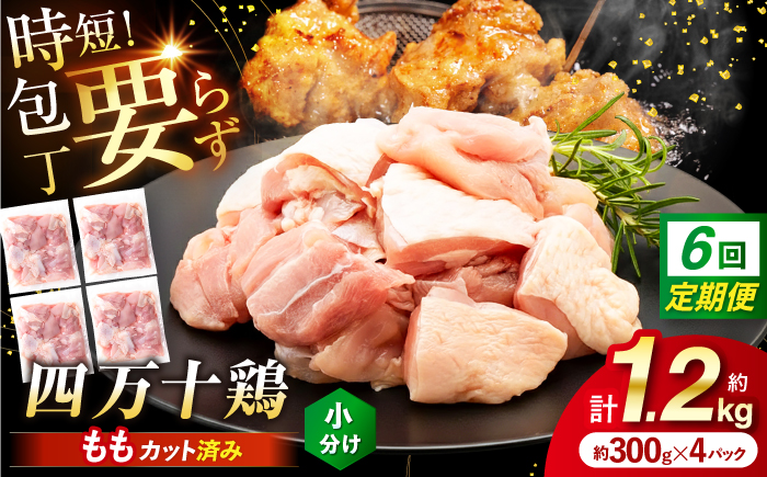 【6回定期便】四万十鶏もも肉 切身 約1.2kg （約300g×4パック） カットでかんたん 時短セット / 四万十鶏 もも肉 小分け 冷凍 カット 時短 【三栄ブロイラー販売株式会社】 [ATDP018]