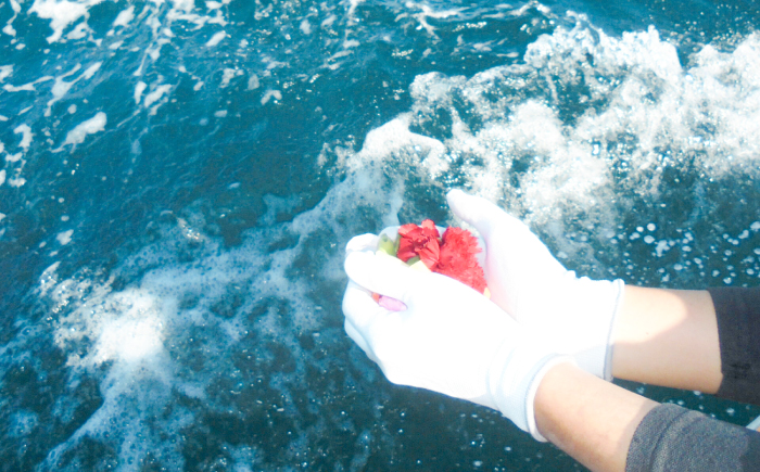 愛猫のための代行海洋散骨供養 (粉骨・散骨証明書・ブックレット付) / ペット供養 愛猫供養 猫 ねこ ネコ 海 埋葬 自然葬 葬儀 お別れ 弔い サービス 代行 委託 メモリアル 遺骨 粉骨 船 プラン 【龍馬カンパニー株式会社】 [ATID001]