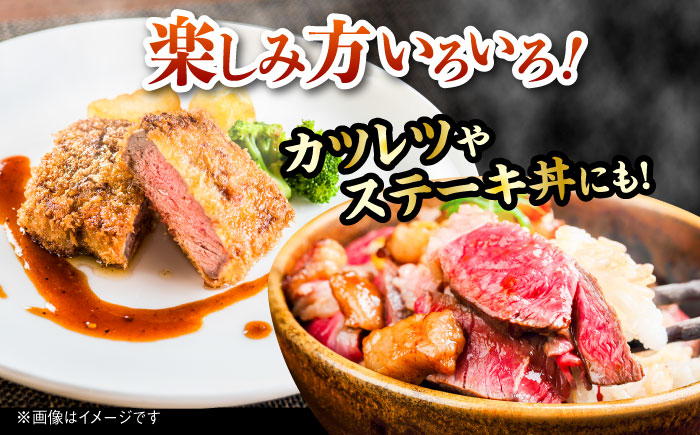 土佐あかうし サーロイン&モモステーキセット　計約1kg【幻の和牛の贅沢セット】【株式会社Dorago】 [ATAM043]