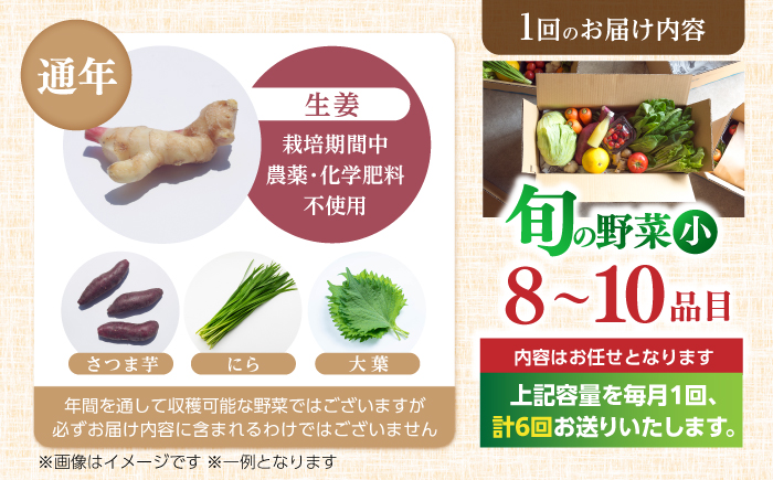 【6回定期便】 土佐の太陽をいっぱいに浴びた旬の野菜セット小 【土佐野菜】 [ATBA006]
