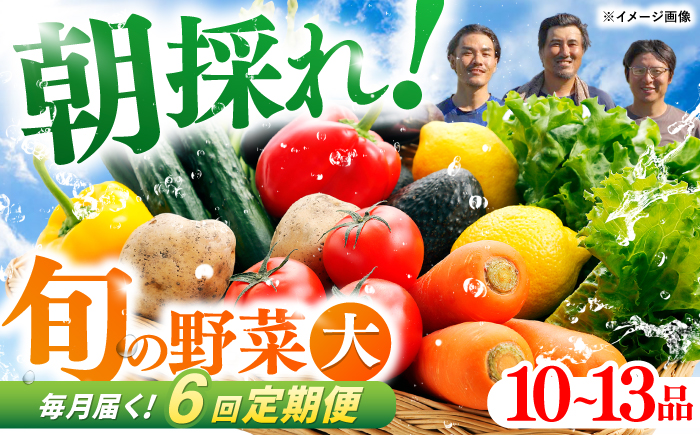 【6回定期便】土佐の太陽をいっぱいに浴びた旬の野菜セット「大」 (6回配送)【土佐野菜】 [ATBA009]