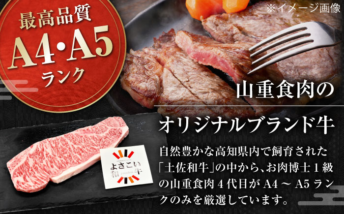 高知県産 よさこい和牛 サーロインステーキ用 約200g×2枚 牛肉 国産 サーロイン ステーキ 焼肉 【(有)山重食肉】 [ATAP012]