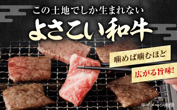 高知から美味しいお肉の玉手箱! 化粧箱入り 総計約840g 牛肉 ステーキ 焼肉 切り落とし 国産 A4 A5 【(有)山重食肉】 [ATAP020]