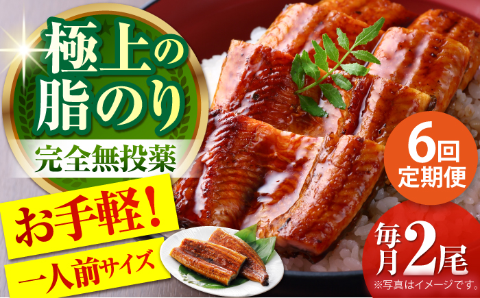 【6回定期便】高知県産 うなぎ蒲焼き 約90g×2尾 タレ付き 【株式会社 四国健商】 [ATAF147]