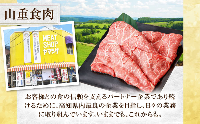 【6回定期便】高知県産 よさこい和牛 上赤身 しゃぶしゃぶ用 約500g×2 総計約6kg 牛肉 すきやき 国産 肉 A4 A5 薄切り スライス 【(有)山重食肉】 [ATAP124]