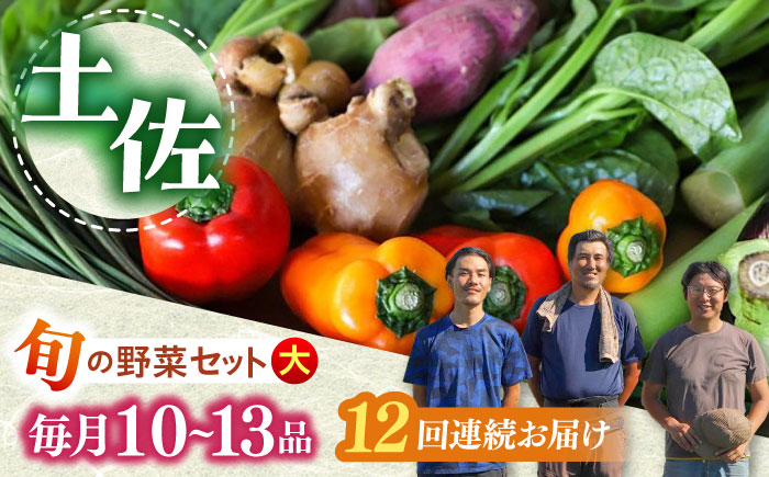 【12回定期便】土佐の太陽をいっぱいに浴びた旬の野菜セット「大」 (12回配送)【土佐野菜】 [ATBA010]