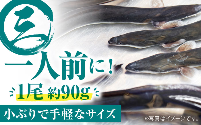【3回定期便】高知県産 うなぎ蒲焼き 約90g×2尾 タレ付き 【株式会社 四国健商】 [ATAF146]
