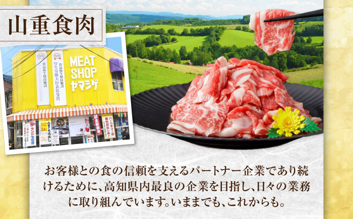 上ランク 牛肉詰め合わせ 総計約4.59kg 牛肉 国産 焼肉 焼き肉 すき焼き 切り落とし サーロインステーキ ハンバーグ 【(有)山重食肉】 [ATAP010]