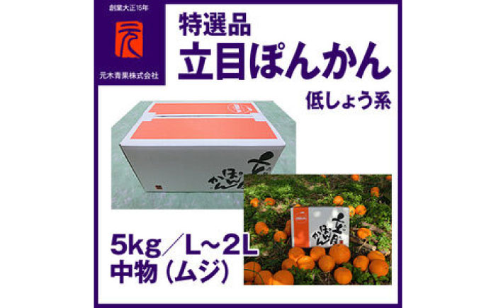 特選品立目ぽんかん（低しょう系）約5kg | L〜２L 中物（ムジ）【グレイジア株式会社】 [ATAC331]