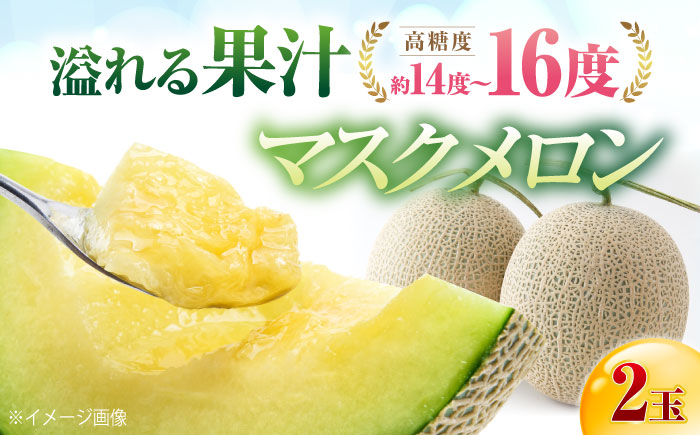 【先行予約】高知市 春野町産 マスクメロン 2玉 (約2.8kg~約3.4kg 箱重量込み) 〈2025年9月～発送〉 【片山農園】 [ATCI002]