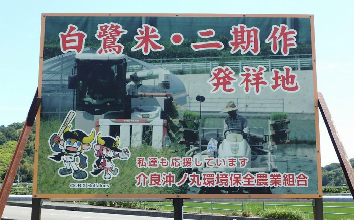 【年内発送 12/23入金分迄】農薬節減！ R7年度産 特別栽培米 白鷺米 にじのきらめき 約5kg ＜2025年9月中旬〜発送＞ / 高知 米 お米 精米 　【津ノ宮農園】[ATBV017]