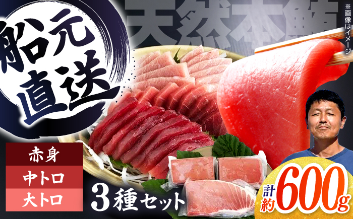 天然本鮪 大トロ 中トロ 赤身 セット（各約200g） / 高知 魚介 海鮮 鮮魚 魚 マグロ まぐろ 鮪 本鮪 新鮮 天然 刺身 寿司 セット 【株式会社Dorago】 [ATAM055]