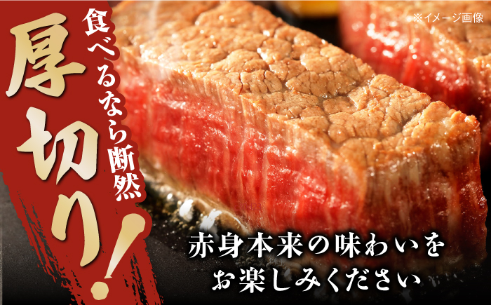 土佐あかうし 塊肉ステーキ 約500g（サーロイン）【株式会社Dorago】 [ATAM045]