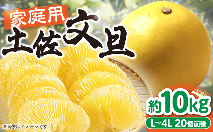 【訳あり】高知県産 土佐文旦 ご家庭用 約10kg（20玉前後）〈2025年3月上旬〜発送〉/味や品質には問題なし！皮に擦れや傷あり 訳アリ 高知 土佐 文旦 柑橘 家族 【SHOP KEYYA】 [ATAO010]