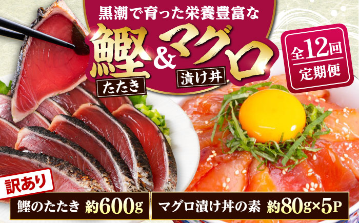 【12回定期便】規格外カツオたたき 約600g＋マグロ漬け丼の素 約80g×5パック 【興洋フリーズ株式会社】 [ATBX127]