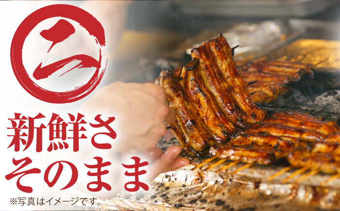 【3回定期便】高知県産 うなぎ蒲焼き 約90g×2尾 タレ付き 【株式会社 四国健商】 [ATAF146]