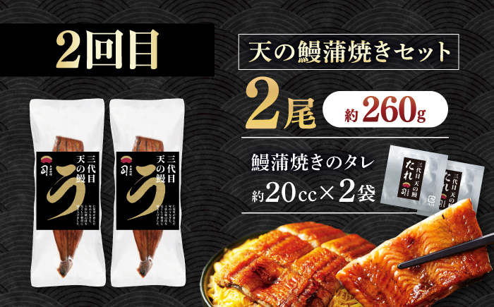 【3回定期便】人気！炭火焼き カツオとうなぎ 食べ比べ定期便　約4名分 /カツオ うなぎ 鰹 刺身 海鮮 鰻蒲焼き【株式会社土佐料理司】 [ATAD080]