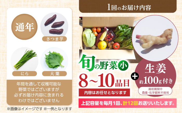 【12回定期便】 土佐の太陽をいっぱいに浴びた旬の野菜生姜約100gのセット「小」 【土佐野菜】 [ATBA013]