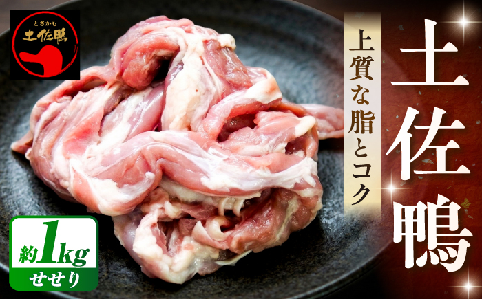 土佐鴨 セセリ (フレッシュ冷蔵) 約1kg 土佐鴨 土佐ジロー飼育研究会 【グレイジア株式会社】 [ATAC588]