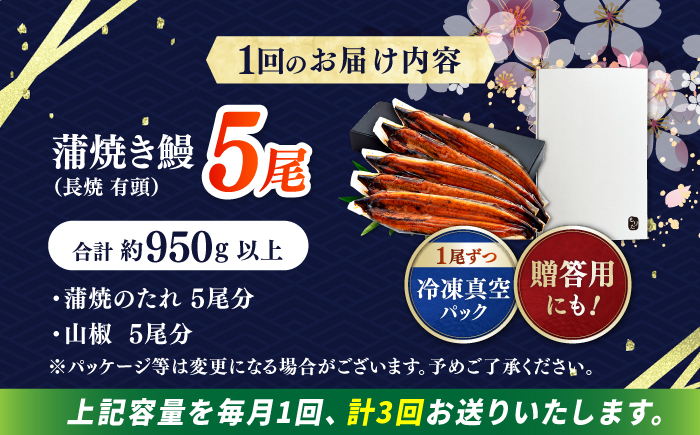 【3回定期便】極上国産うなぎ四万十桜 蒲焼き5尾 たっぷり大サイズ / 国産 高知 四万十 うなぎ ウナギ 鰻 蒲焼き うな重 惣菜 贅沢 【有限会社もりた】 [ATHE009]