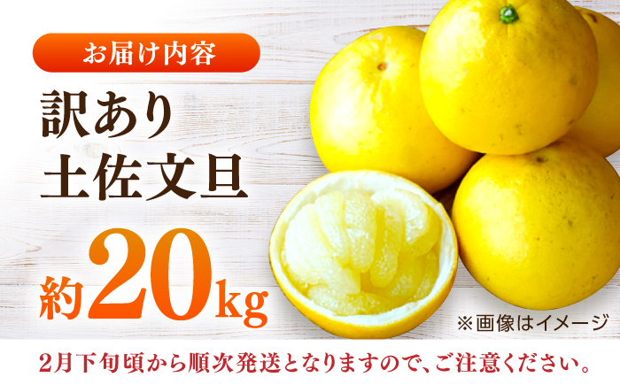 【先行予約】高知県産 訳あり 土佐文旦 約20kg 〈2025年2月〜発送〉 / 傷 シミの訳アリ  大容量 ぶんたん 文旦 訳あり わけあり 果物 【株式会社　四国健商】 [ATAF150]