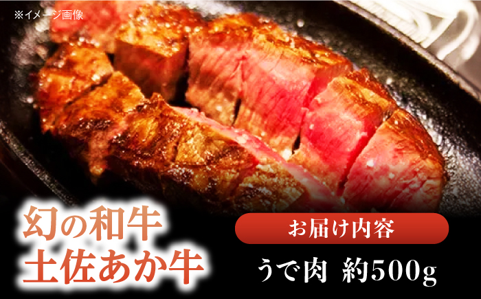 土佐あかうし 塊肉ステーキ 約500g（うで）【株式会社Dorago】 [ATAM047]