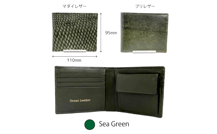 【Sea Green】Ocean Leather 二つ折り財布【マダイ】【興洋フリーズ株式会社】 [ATBX070-04]