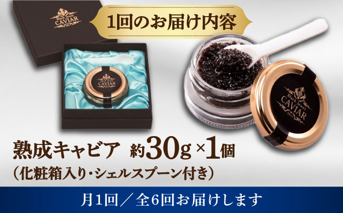 【6回定期便】高知産熟成キャビア約30g (化粧箱) シェルスプーン付Black Jewel 【興洋フリーズ株式会社】 [ATBX101]