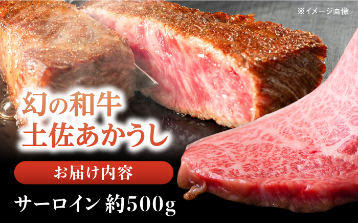 土佐あかうし 塊肉ステーキ 約500g（サーロイン）【株式会社Dorago】 [ATAM045]