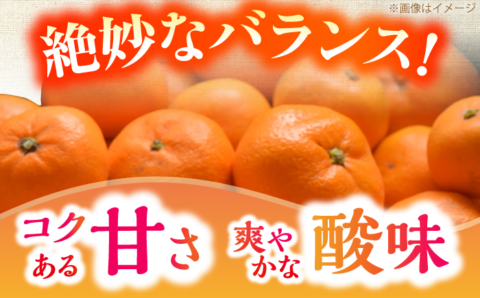 【先行予約】＜サイズおまかせ＞高知県産温州みかんA級品 約3kg ＜2026年11月上旬～2026年12月下旬頃発送＞/ みかん 柑橘 オレンジ 高知県 温州 【株式会社にしごみ】 [ATEA010]