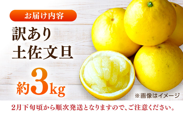 【先行予約】高知県産 訳あり 土佐文旦 約3kg 〈2025年2月〜発送〉 / 傷 シミの訳アリ  大容量 ぶんたん 文旦 訳あり わけあり 果物 【株式会社　四国健商】 [ATAF151]