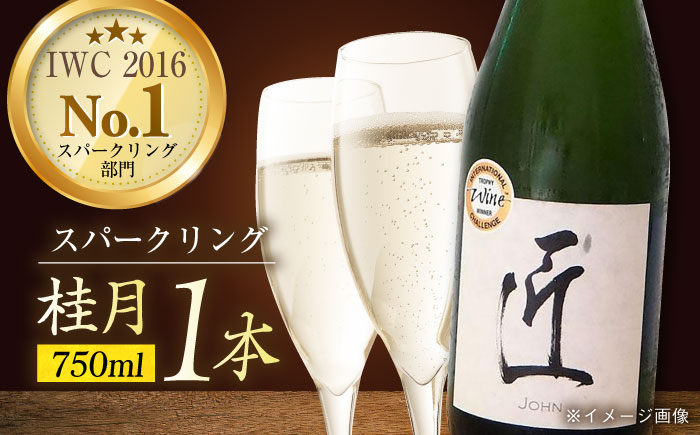 土佐酒造 桂月 スパークリング酒 匠 (ジョン) 750ml 日本酒 地酒 【近藤酒店】 [ATAB073]